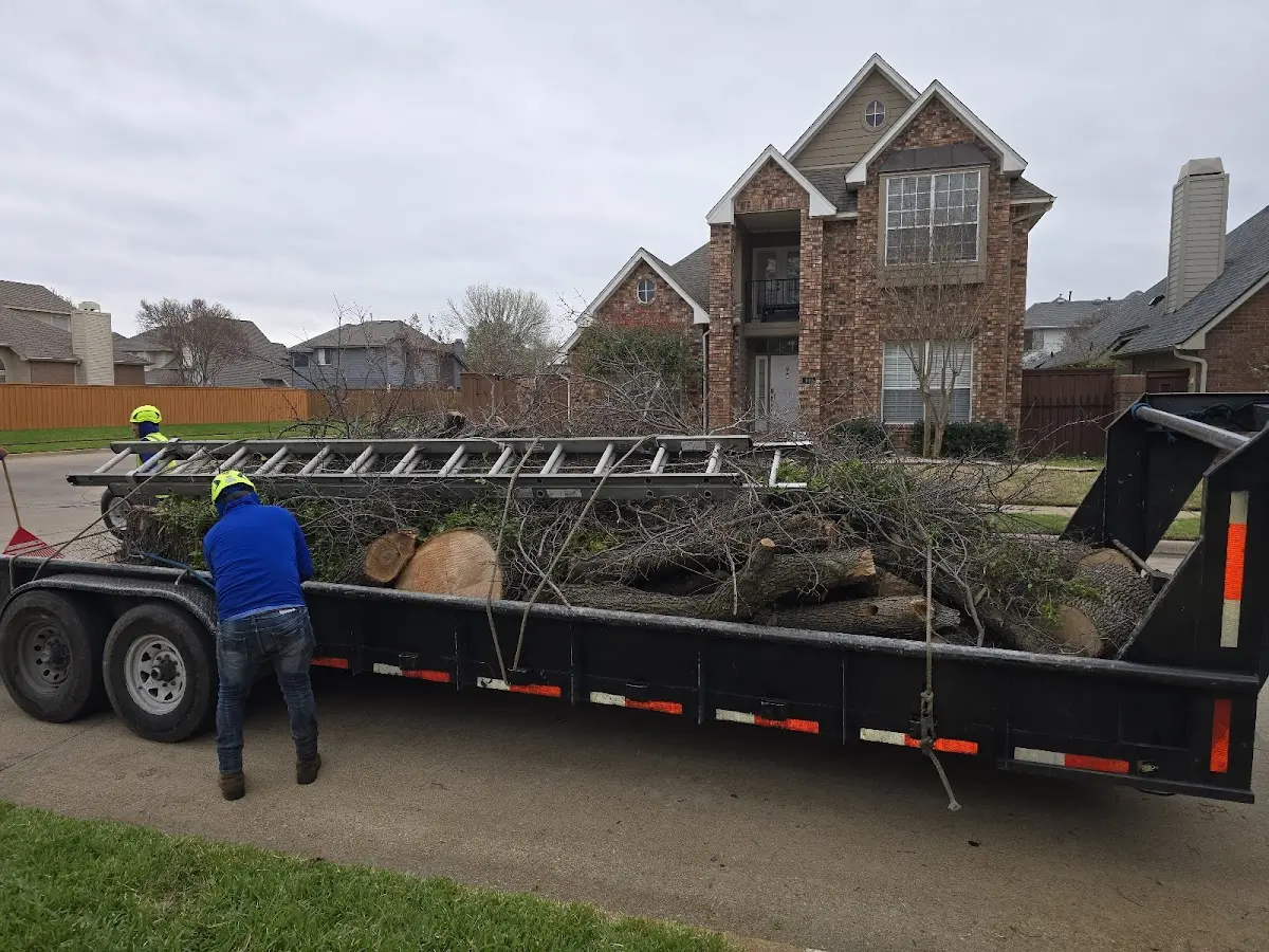 Expert Tree Fertilization with proper safety equipment in Supply